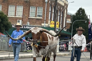 Cooper Cattle Co. Scone Horse Festival